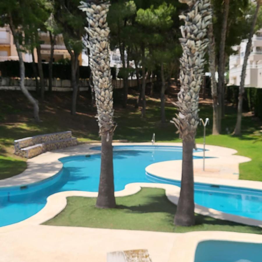 Apartamento Ines, Dehesa De Campoamor,900M From The Sea , Swimming Pool & Tennis Court ภายนอก รูปภาพ